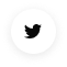 twitter logo